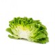 Chalmers RZ F.1 | 1.000 szem | salanova saláta vetőmag