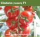 Clodano F.1 | 500 szem | paradicsom vetőmag