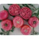 Fuji Pink F.1 | 1.000 szem | pink paradicsom vetőmag