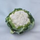 Mengwenn F.1 | 2.500 szem | karfiol vetőmag