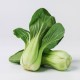Shun Li Choi F.1 | 2.500 szem | Pak choi vetőmag