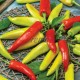 Srilanus F.1 | 100 szem | kecskeszarv paprika